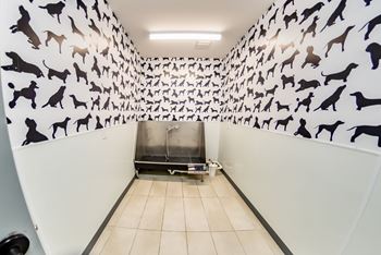 A hallway with a wall of dog silhouettes and a dog washing station.